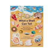 What A Shell Can Tell