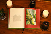 Atlas of Tolkien Deluxe Edition by David Day