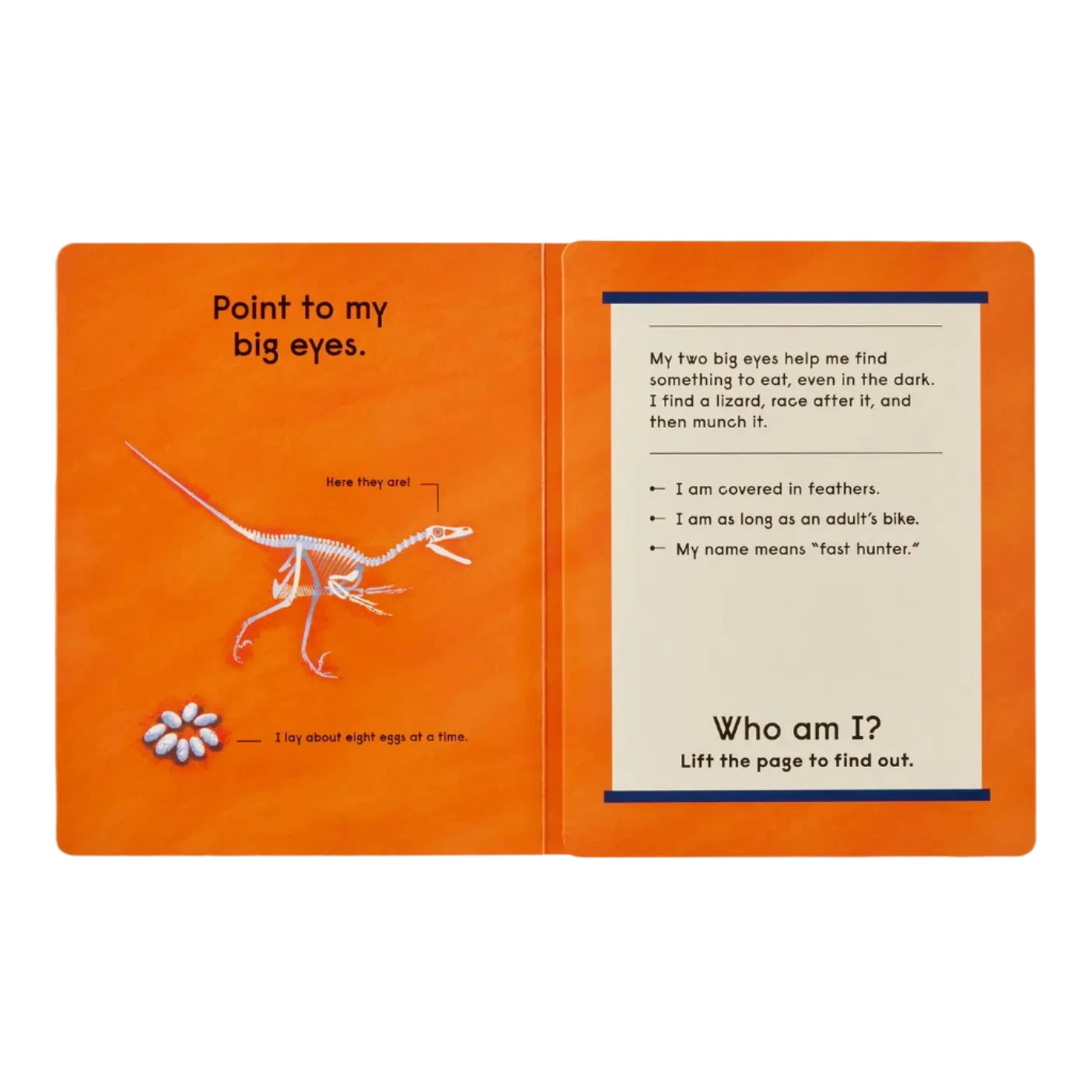 Who's That Dinosaur?