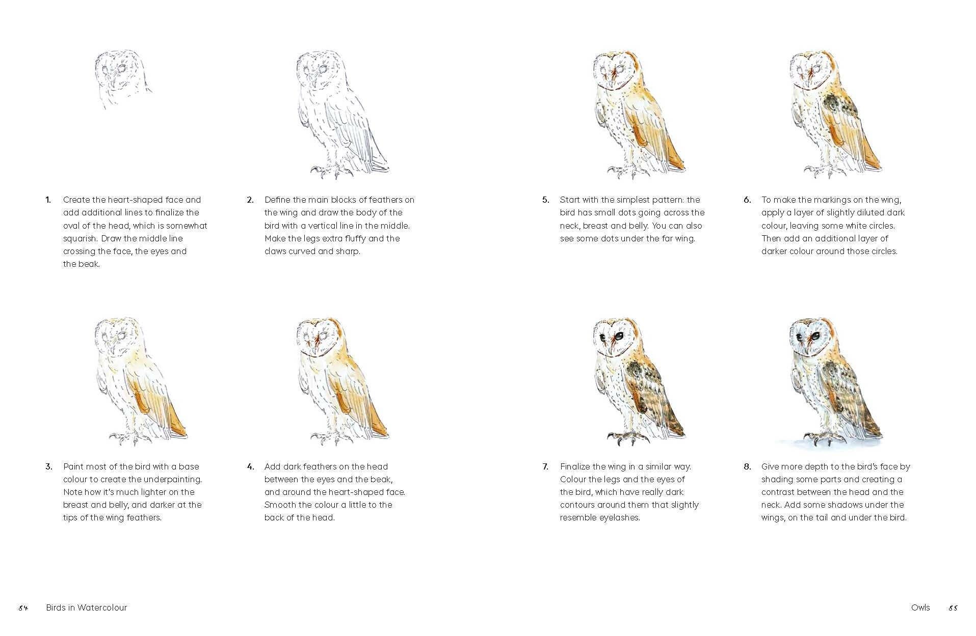 Birds in Watercolour - A Beginner's Guide