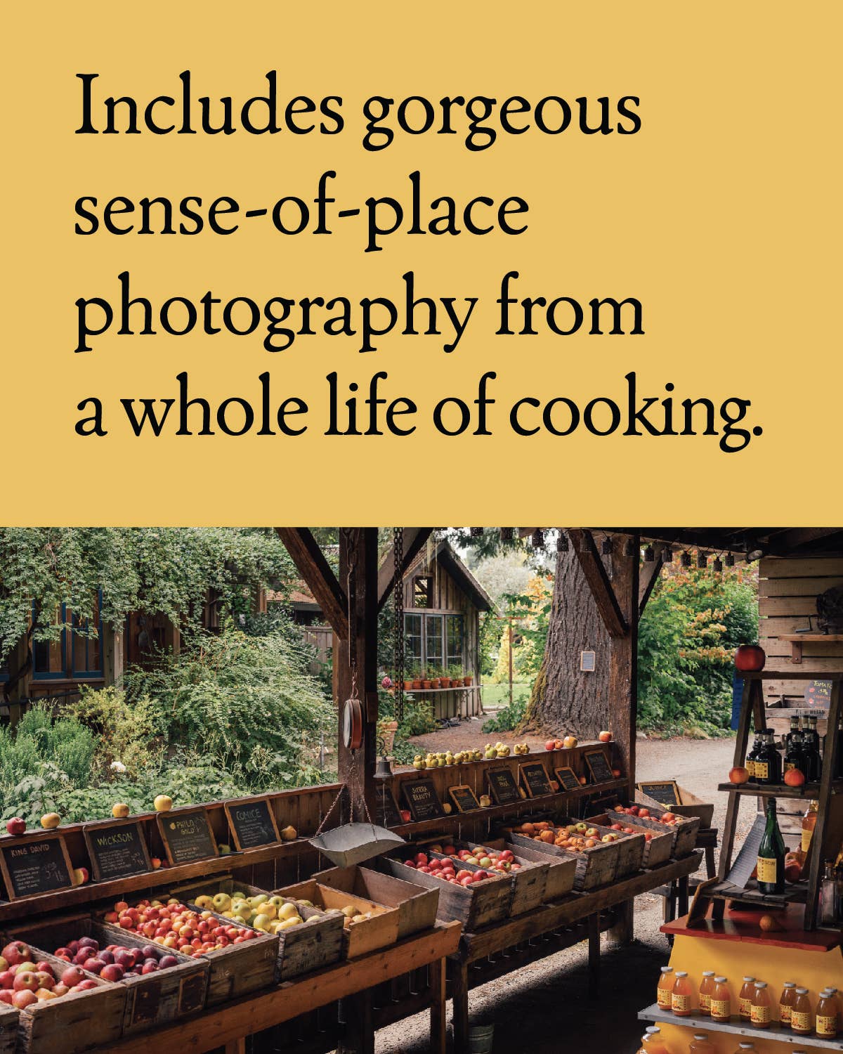 Six California Kitchens: A Collection of Recipes, Stories, and Cooking Lessons from a Pioneer of California Cuisine | Cookbook