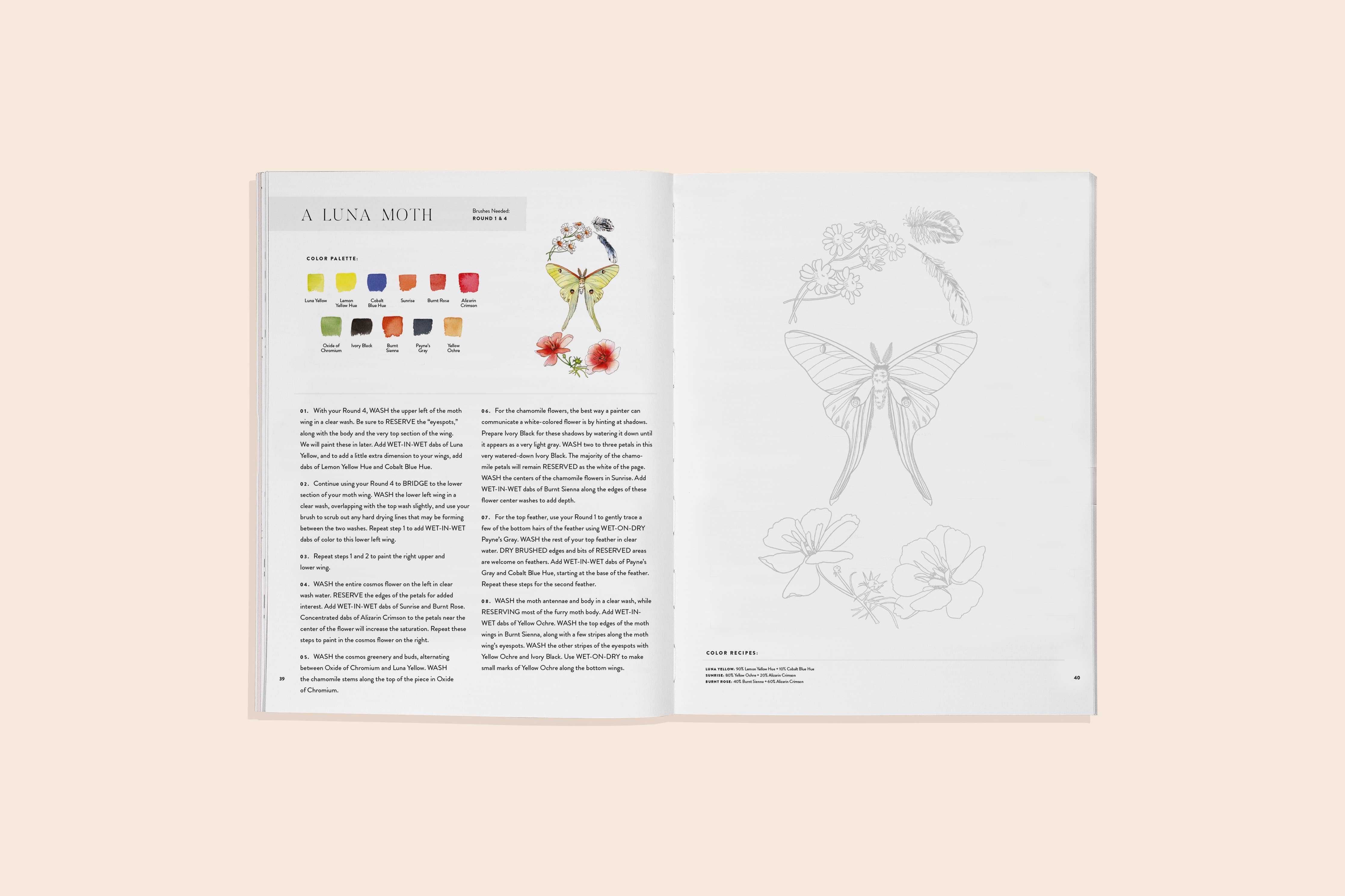 Watercolor Workbook 2 - Flowers, Feathers & Animal Friends