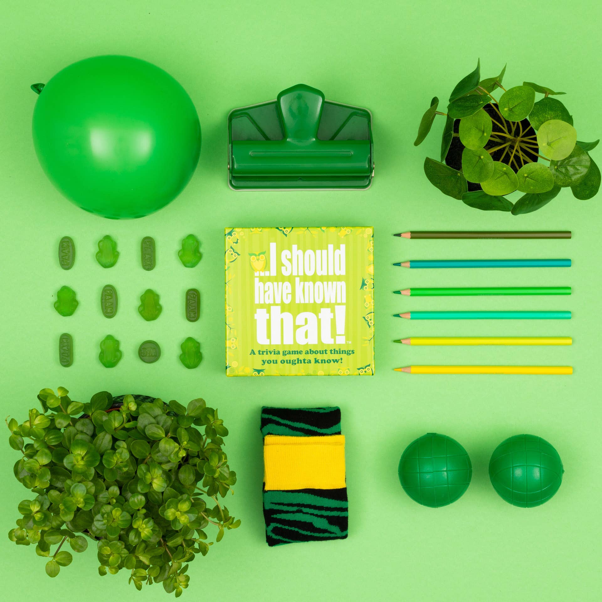 I Should Have Known That! - Card Game