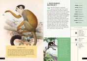 The Little Book of Animals of the Rainforest