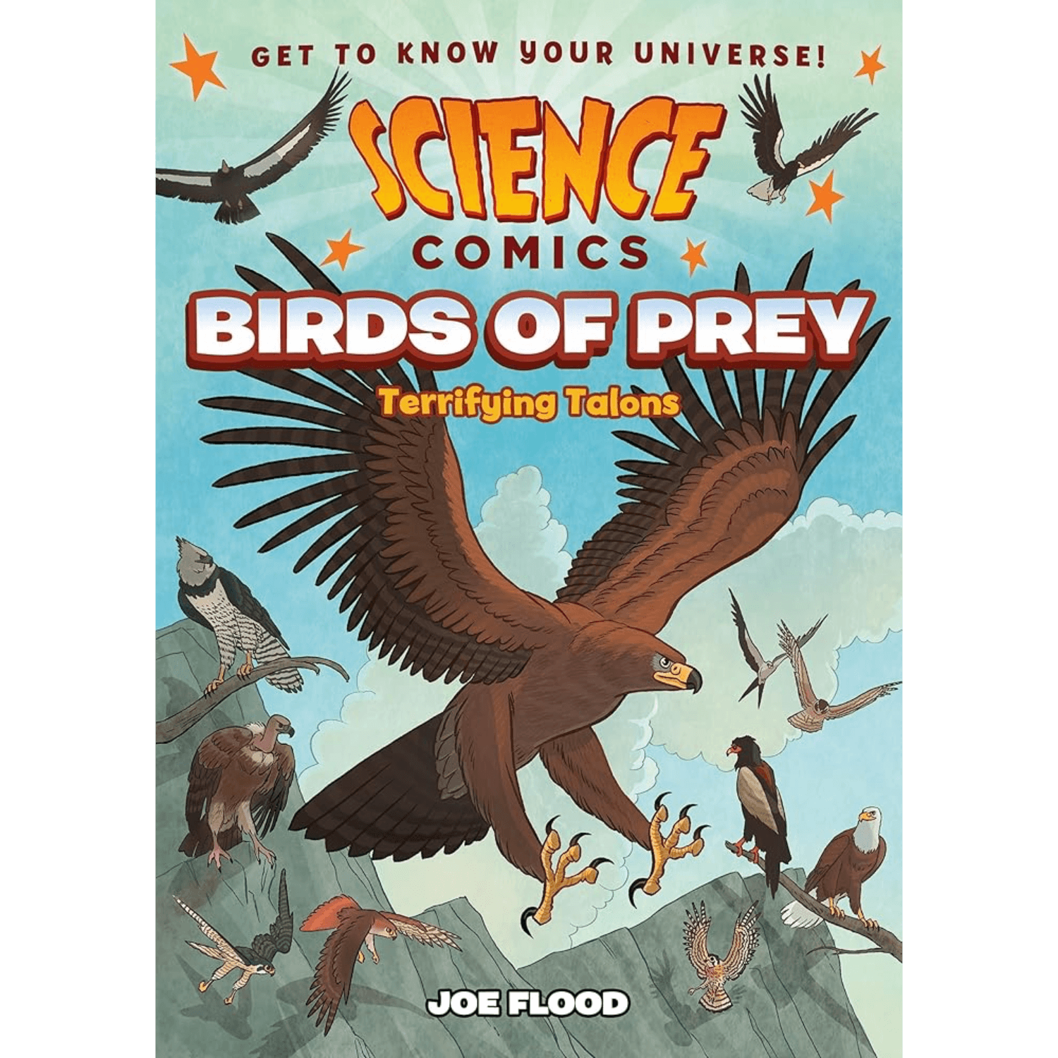 Book cover of 'Science Comics: Birds of Prey' with an eagle and other birds on a mountainous background.