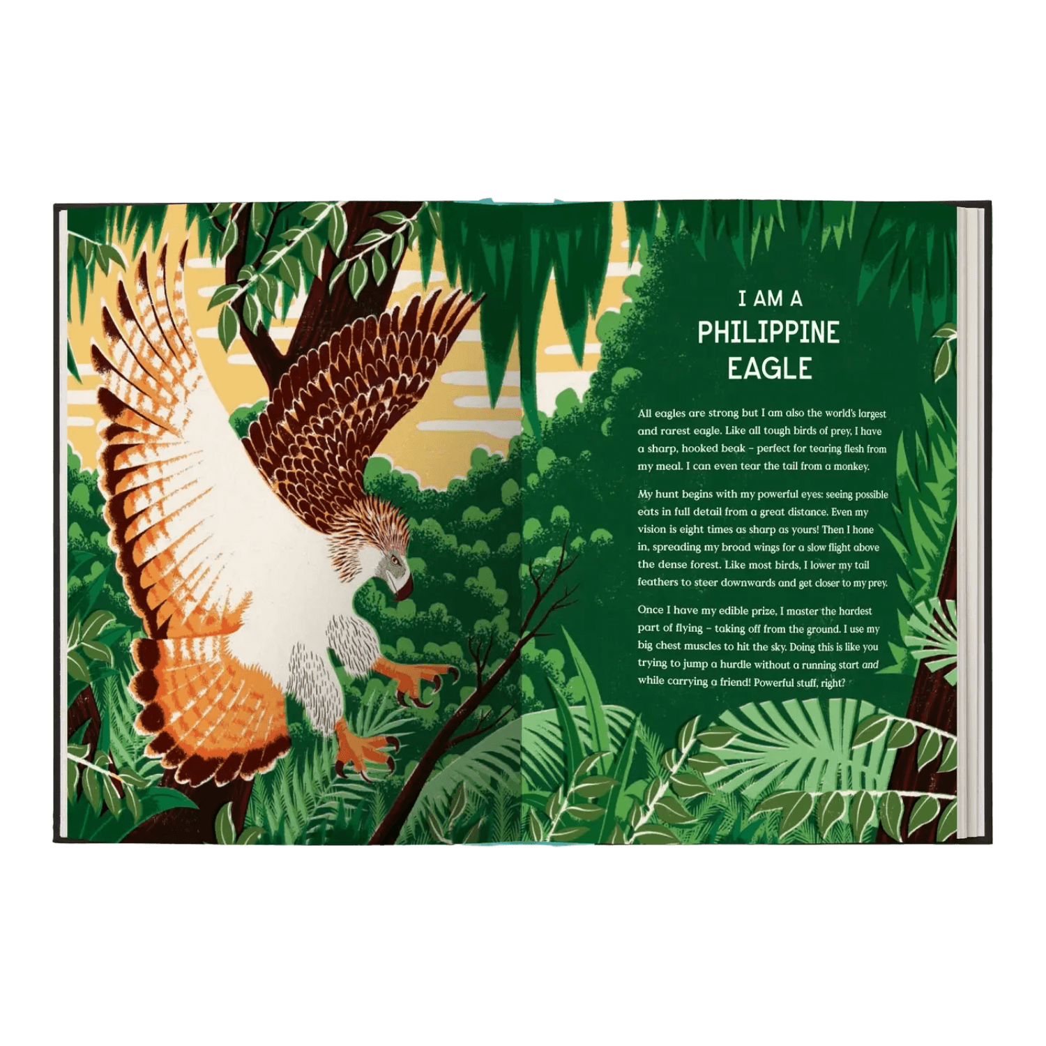 Book Of Flight: 10 Record-Breaking Animals With Wings