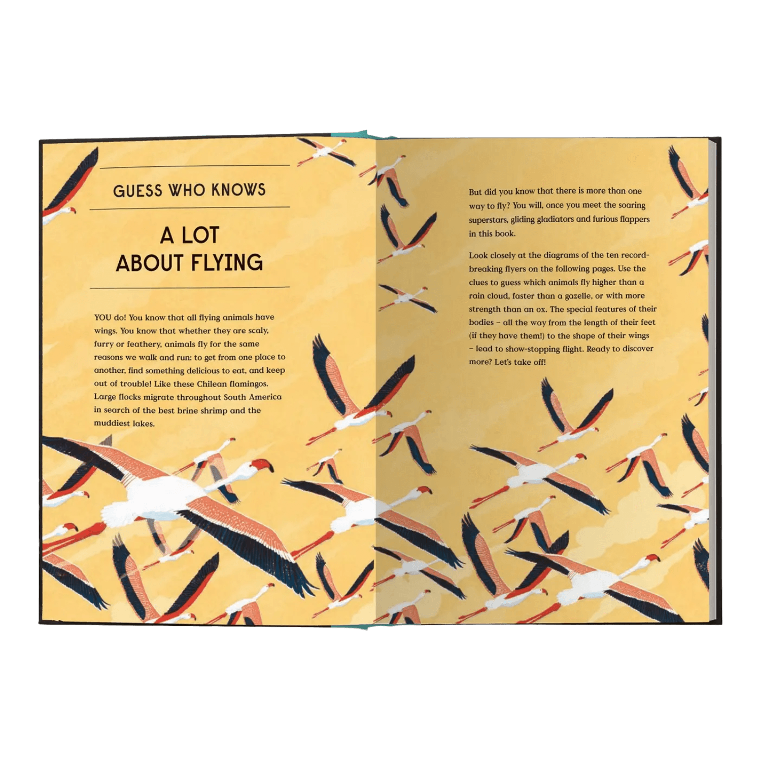 Book Of Flight: 10 Record-Breaking Animals With Wings