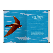 Book Of Flight: 10 Record-Breaking Animals With Wings