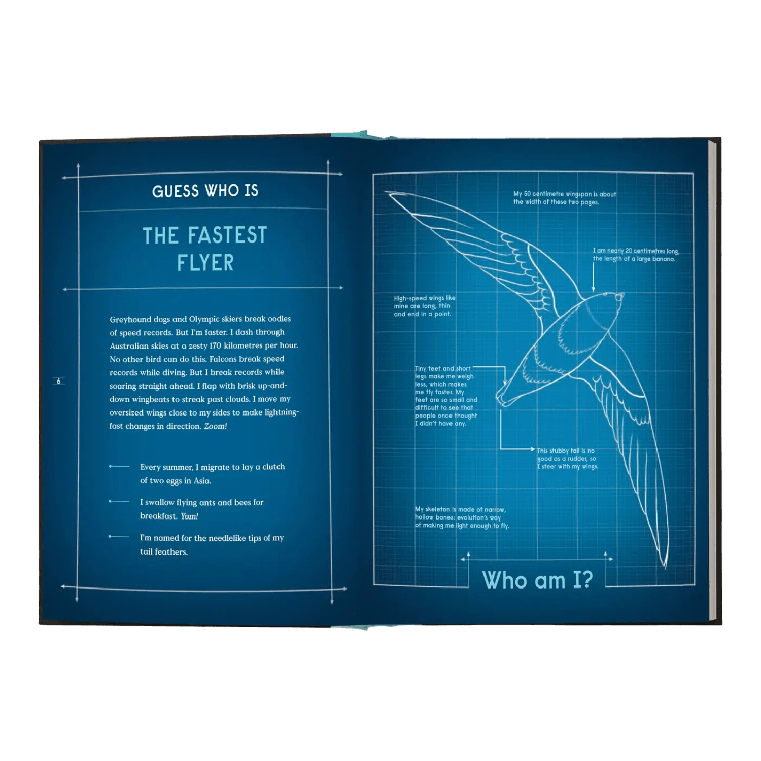 Book Of Flight: 10 Record-Breaking Animals With Wings