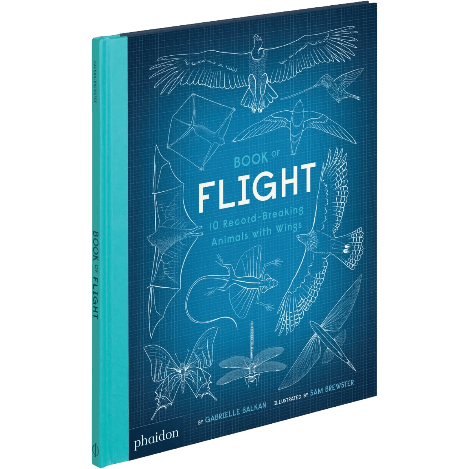 Book Of Flight: 10 Record-Breaking Animals With Wings