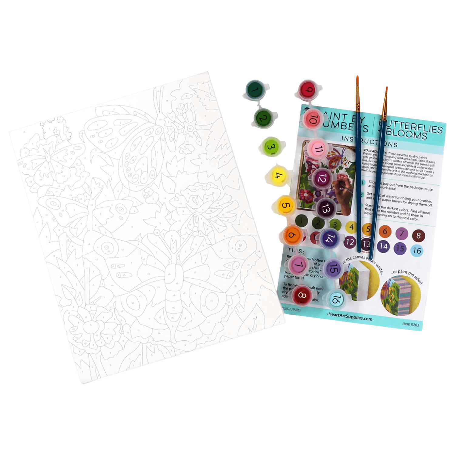 Butterflies + Blooms | Paint By Numbers