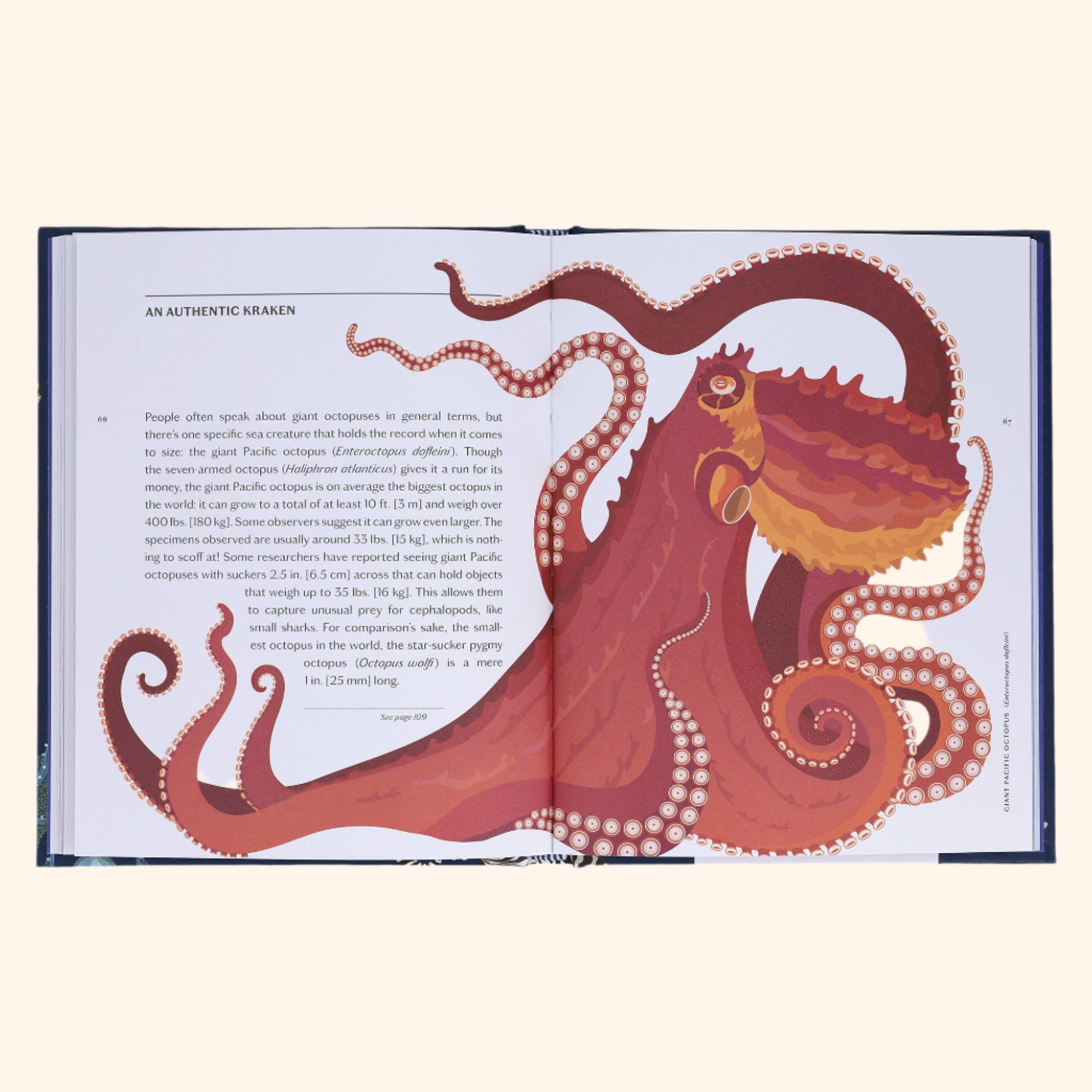 Sea Wonders