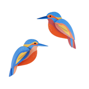 Kingfishers 3D DIY Wall Art Kit