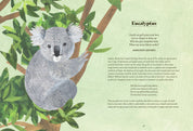 Tree Lore