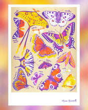Butterflies A3 Poster - Manon Bucciarelli