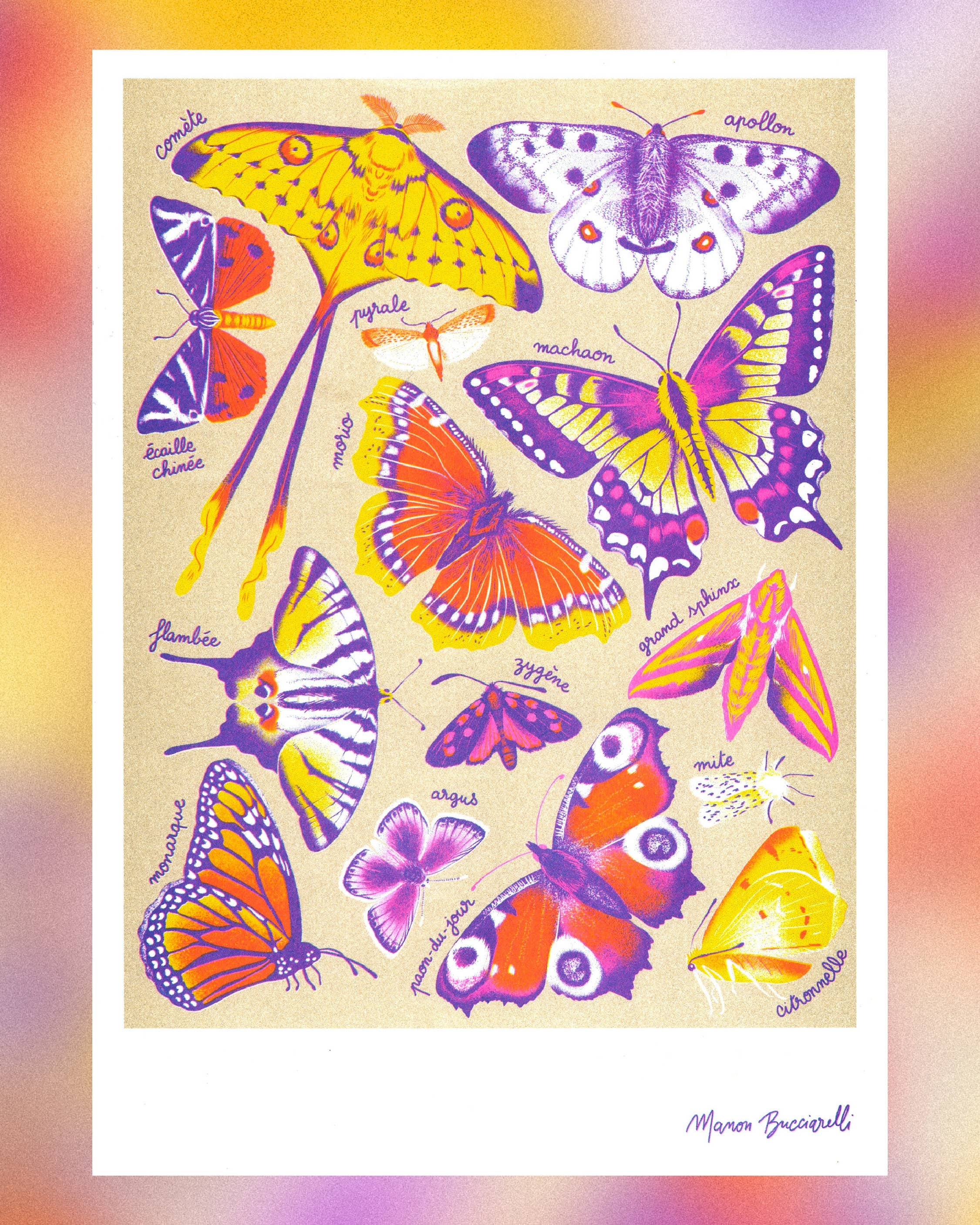 Butterflies A3 Poster - Manon Bucciarelli