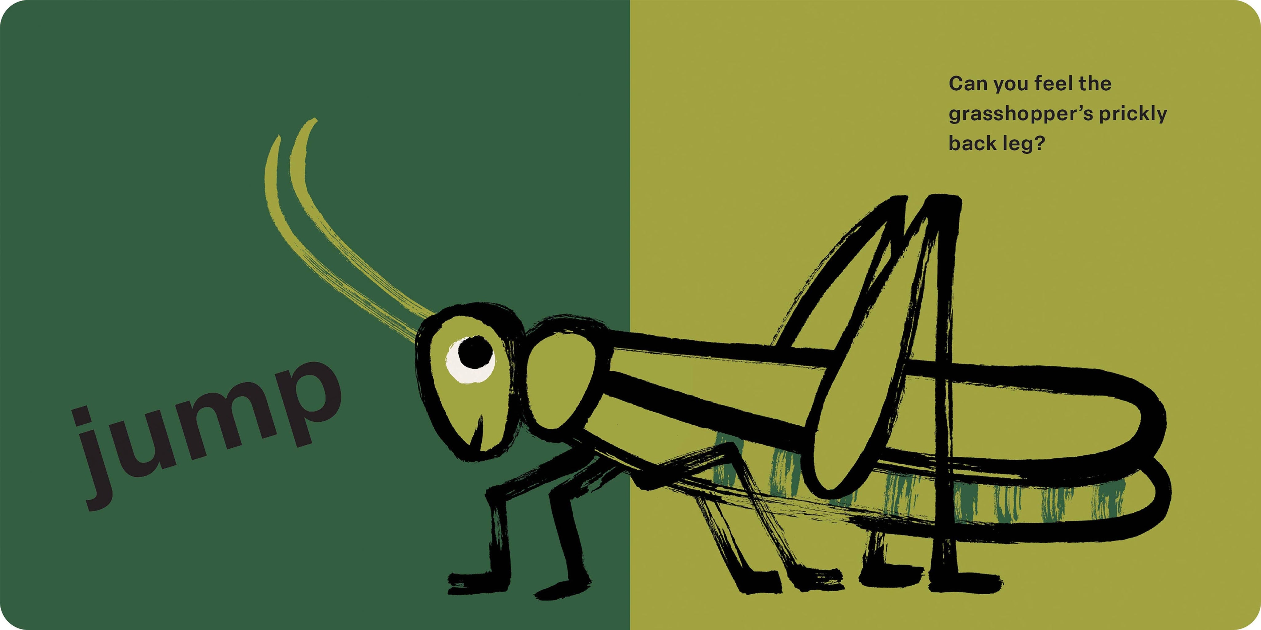 Bugs: Spring Street Touch and Feel
