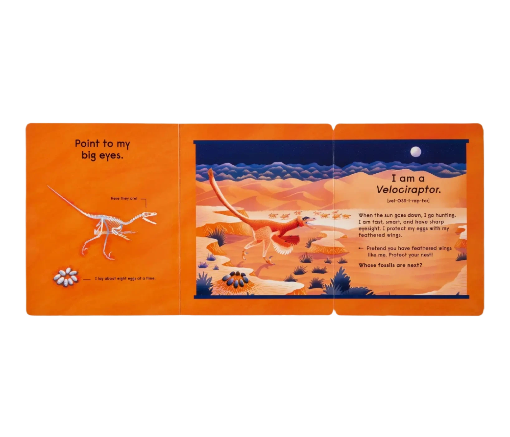 Who's That Dinosaur?