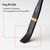 MEEDEN Professional Paint Brushes Set, 10 PCS