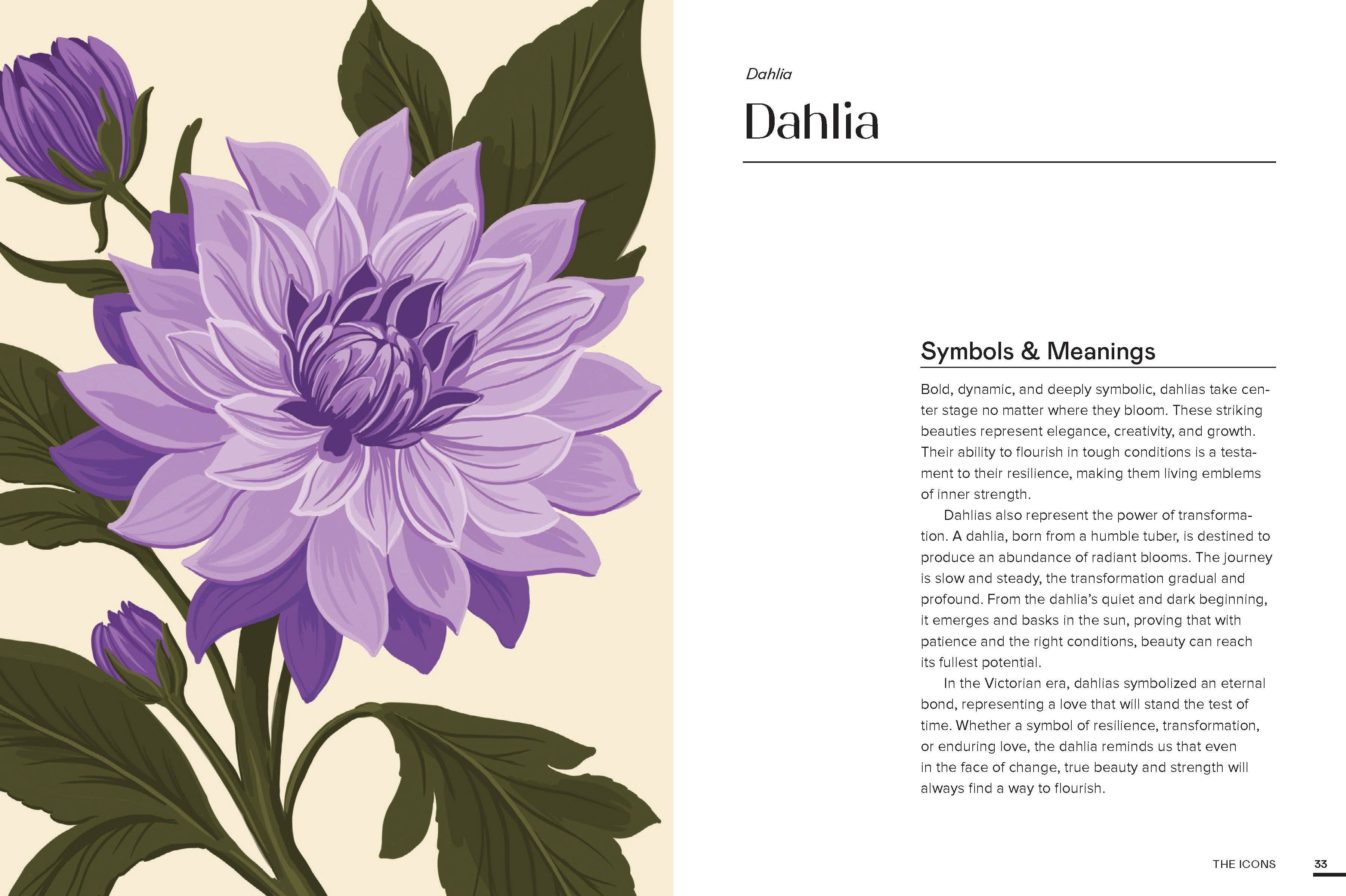 Floraphile's Almanac: An Illustrated Miscellany