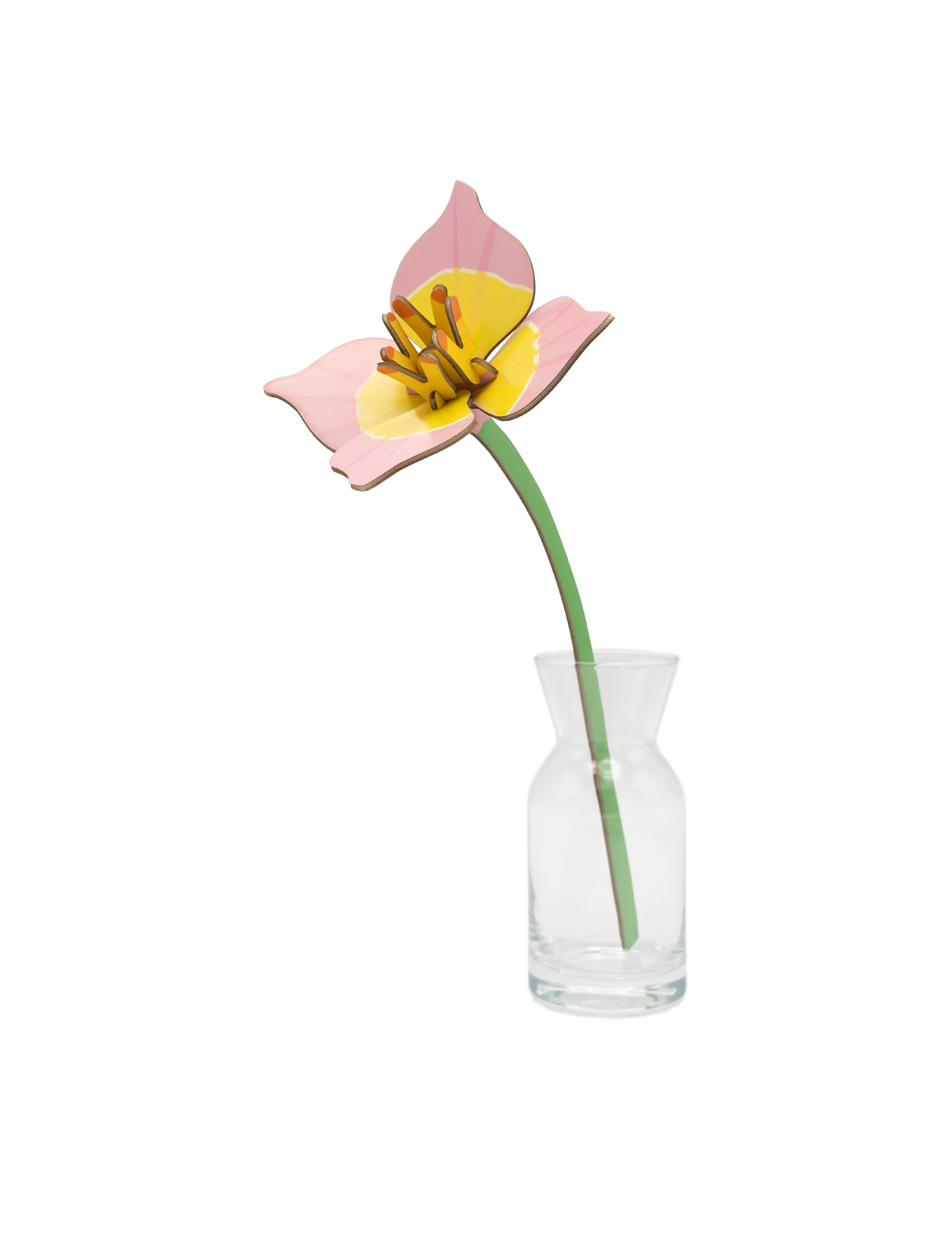 Blushing Tulip | DIY 3D Small Everlasting Flower Craft Kit