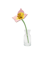 Blushing Tulip | DIY 3D Small Everlasting Flower Craft Kit