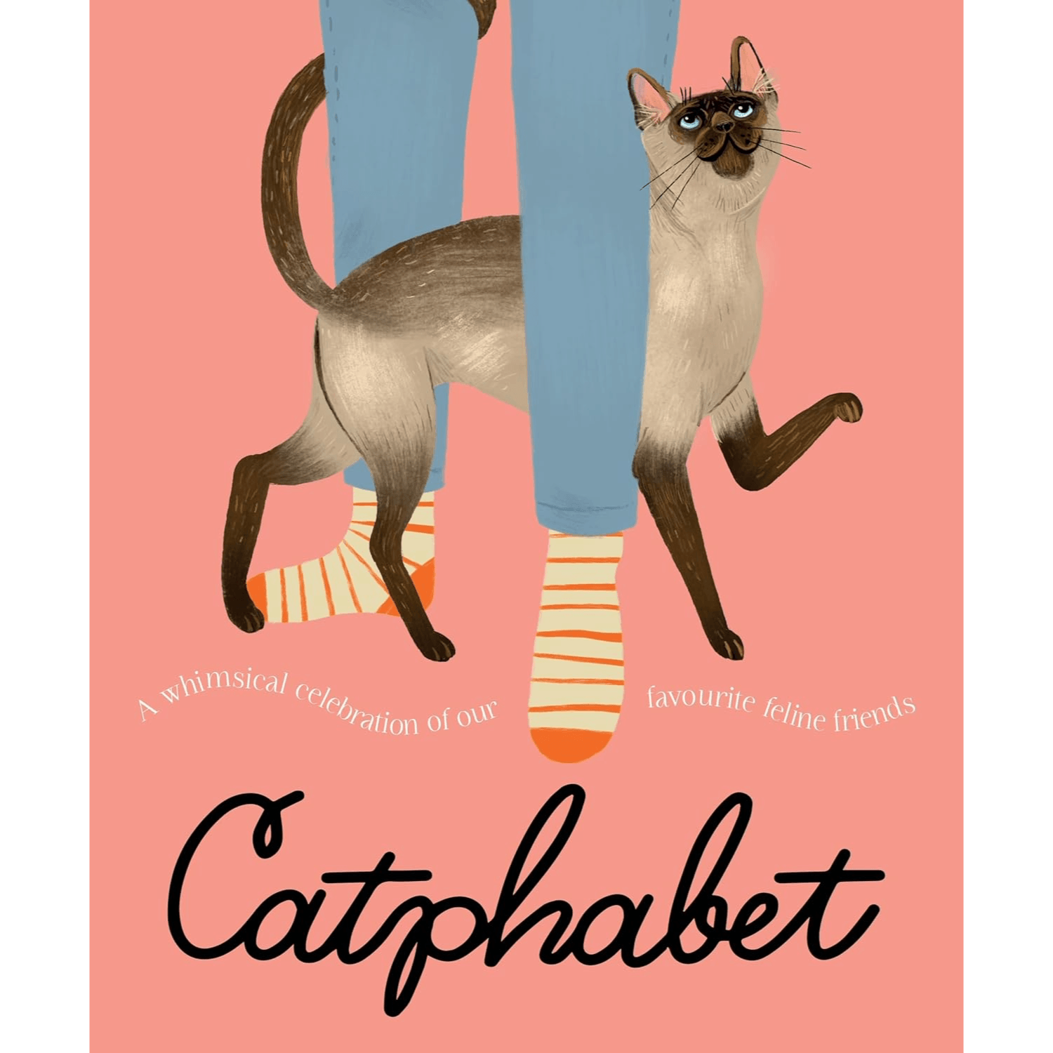 Catphabet : A Cat Alphabet