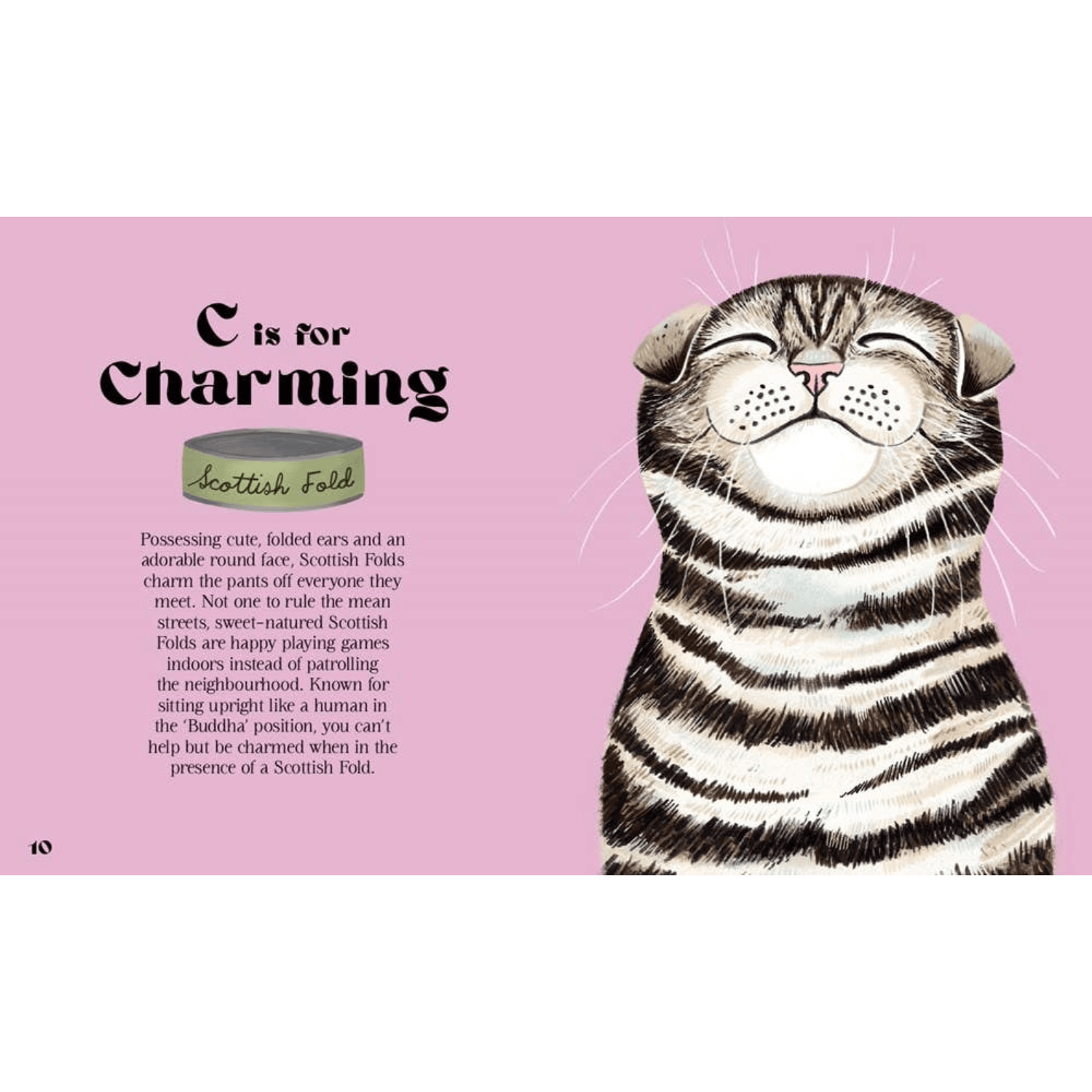 catphabet-a-cat-alphabet-book-page.png