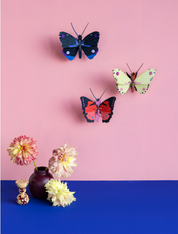 Luzerne Butterfly 3D DIY Wall Art Craft