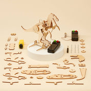 Dinosaur Robot DIY Craft Kit