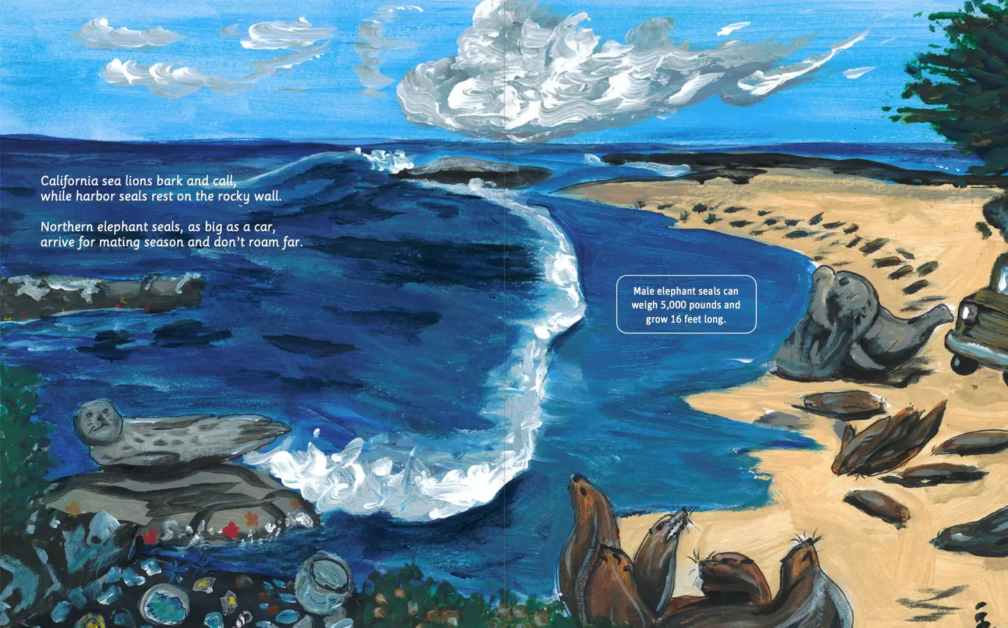 Can You Read Channel Islands National Park?