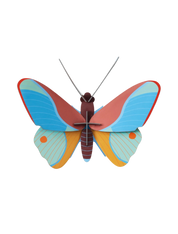 Claudina Butterfly - 3D DIY Wall Art Kit