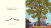 The Witness Trees (Children's Book)