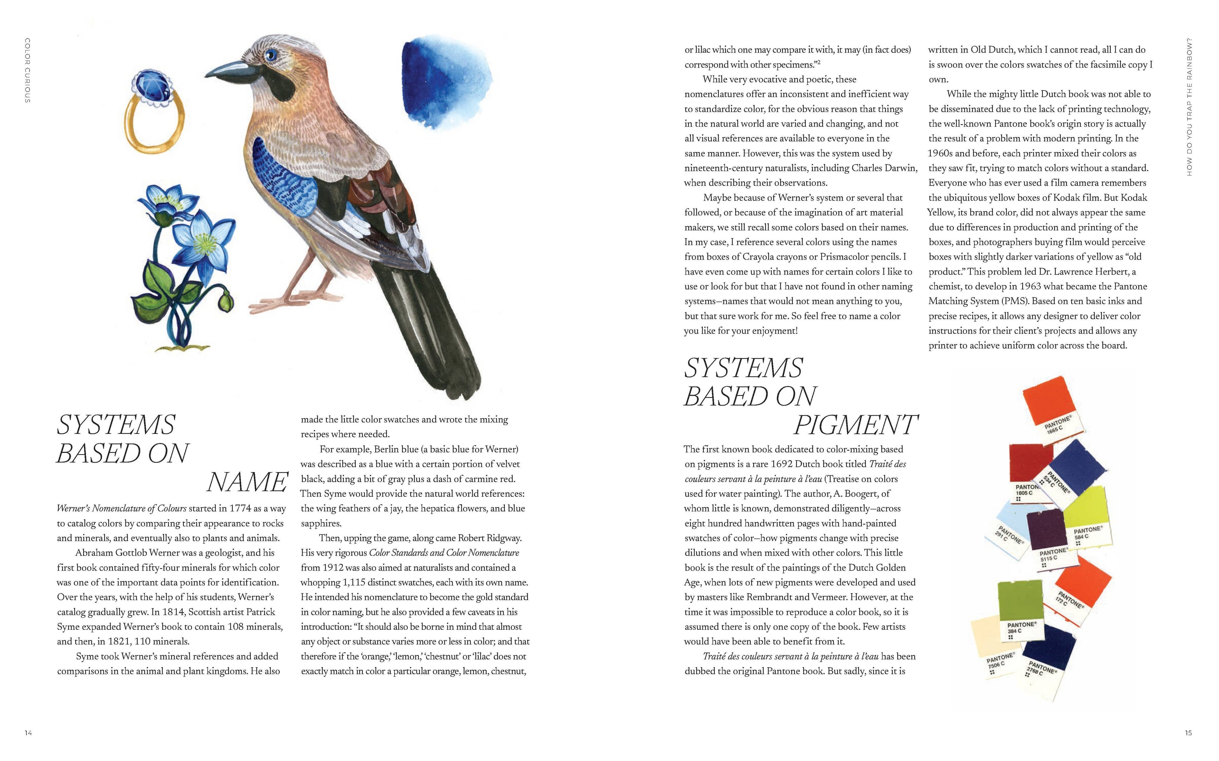 Book page with illustrations of a bird, flower, and color swatches on a white background