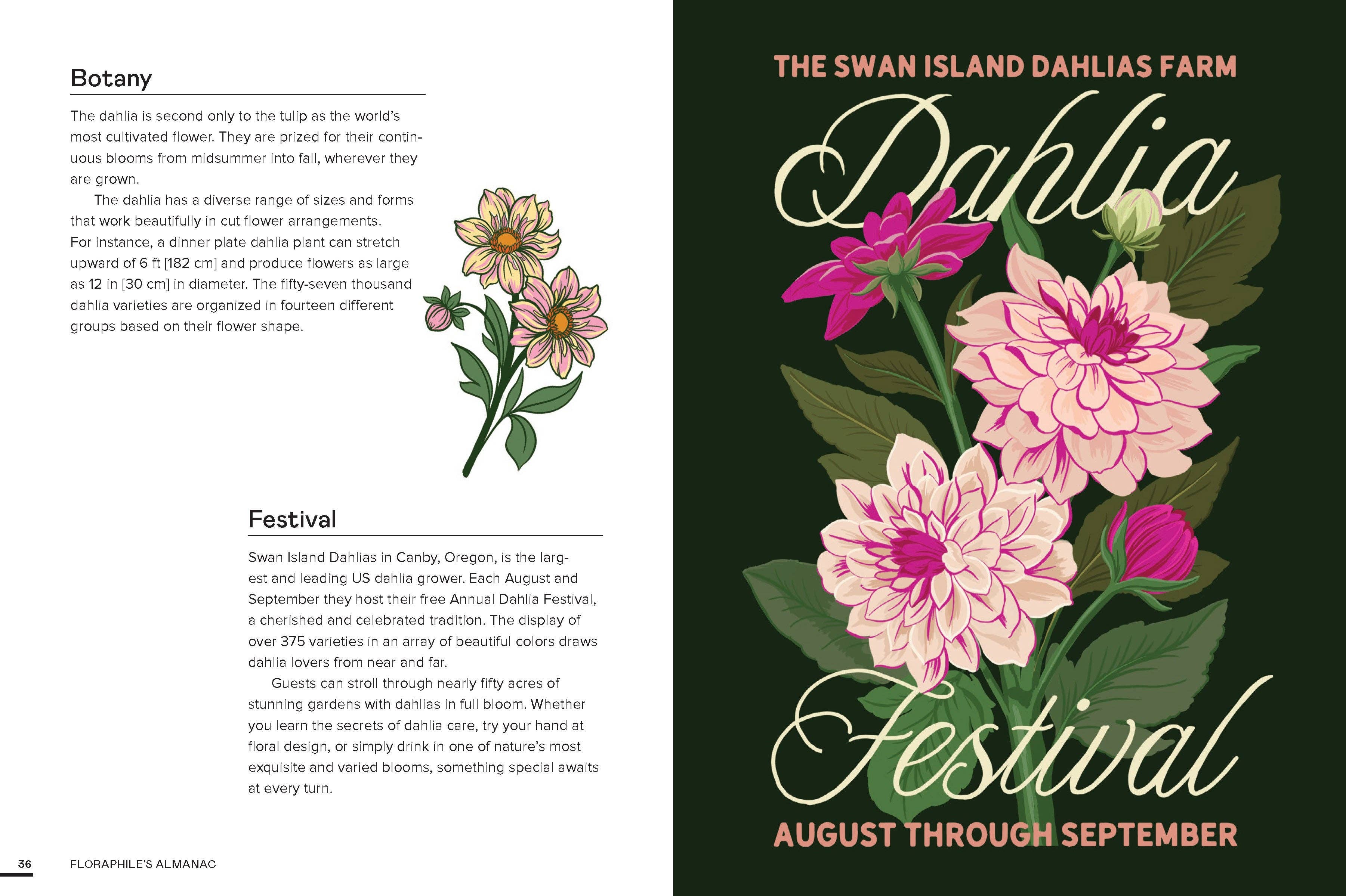 Floraphile's Almanac: An Illustrated Miscellany