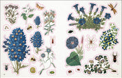Botanist's Sticker Anthology