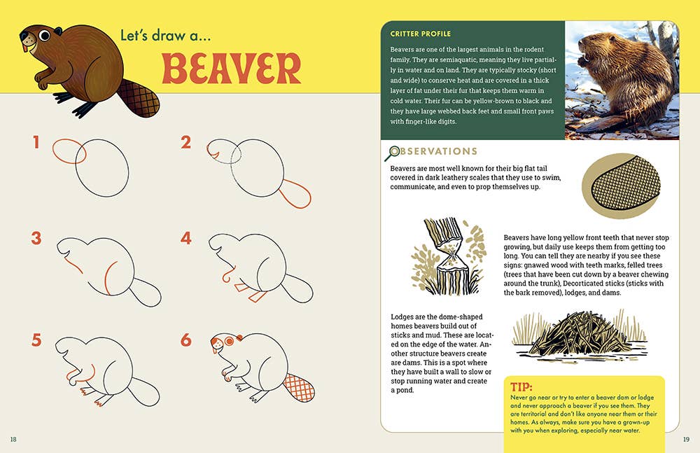 The Nature Explorer's Drawing Guide For Kids