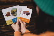 Campfire Stories Deck – For Kids!