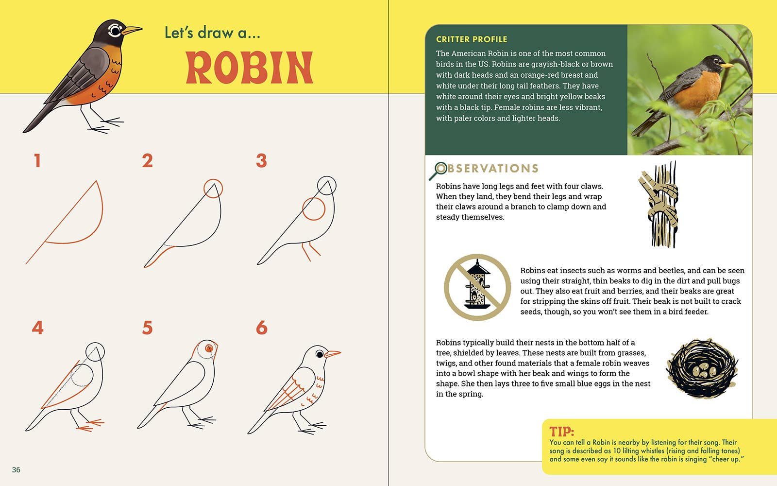 The Nature Explorer's Drawing Guide For Kids