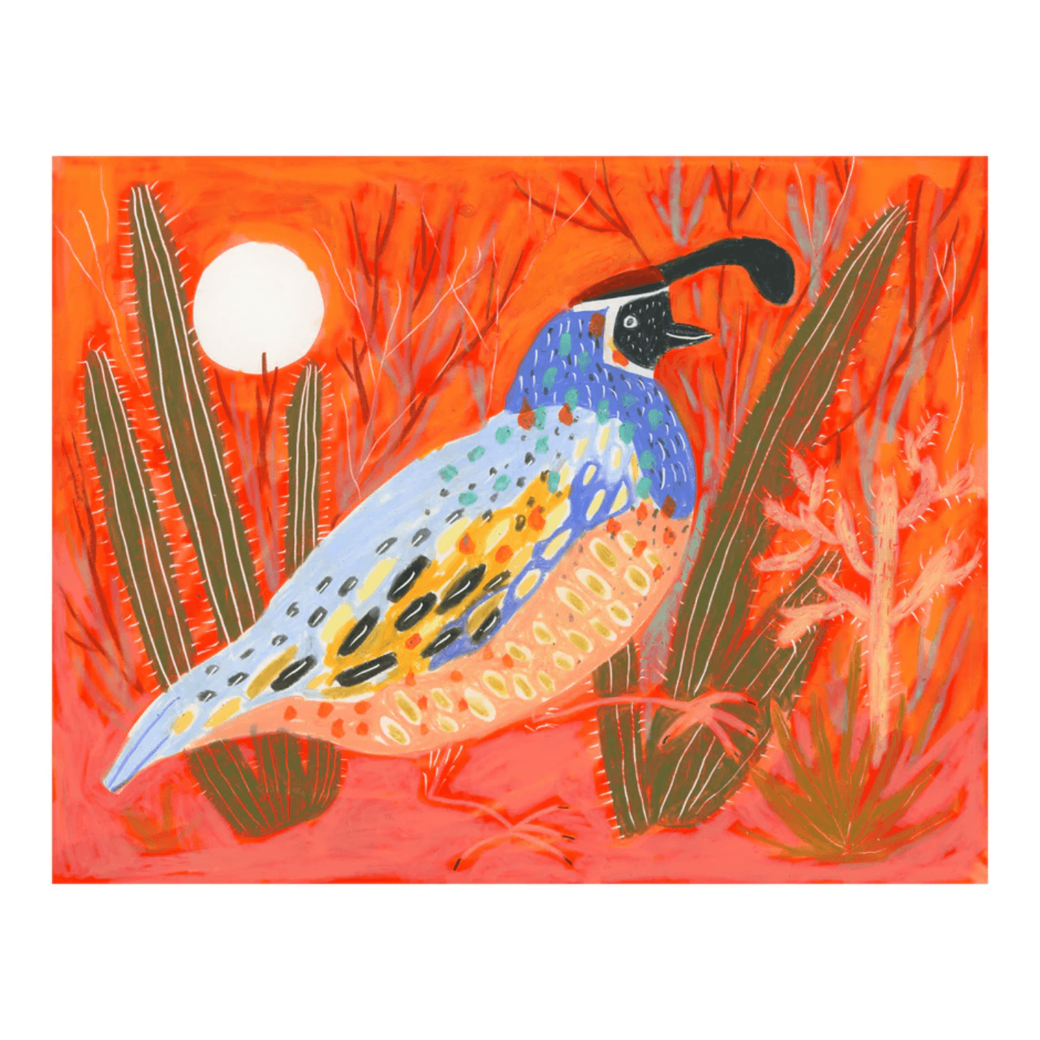 Colorful quail illustration on a red background with desert plants and a full moon.