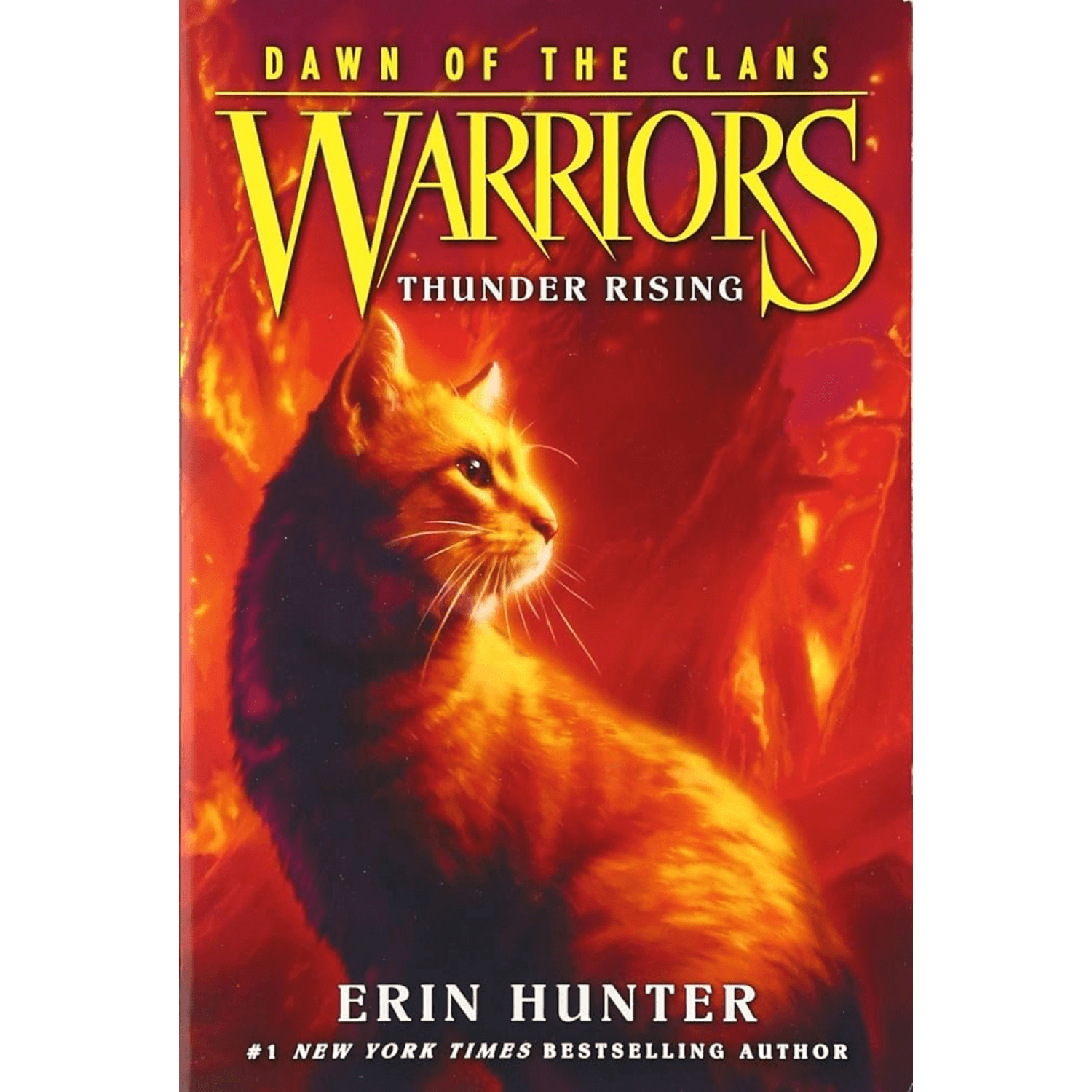Book cover of 'Warriors: Thunder Rising' by Erin Hunter with a cat in flames.