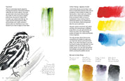 Birds in Watercolour - A Beginner's Guide