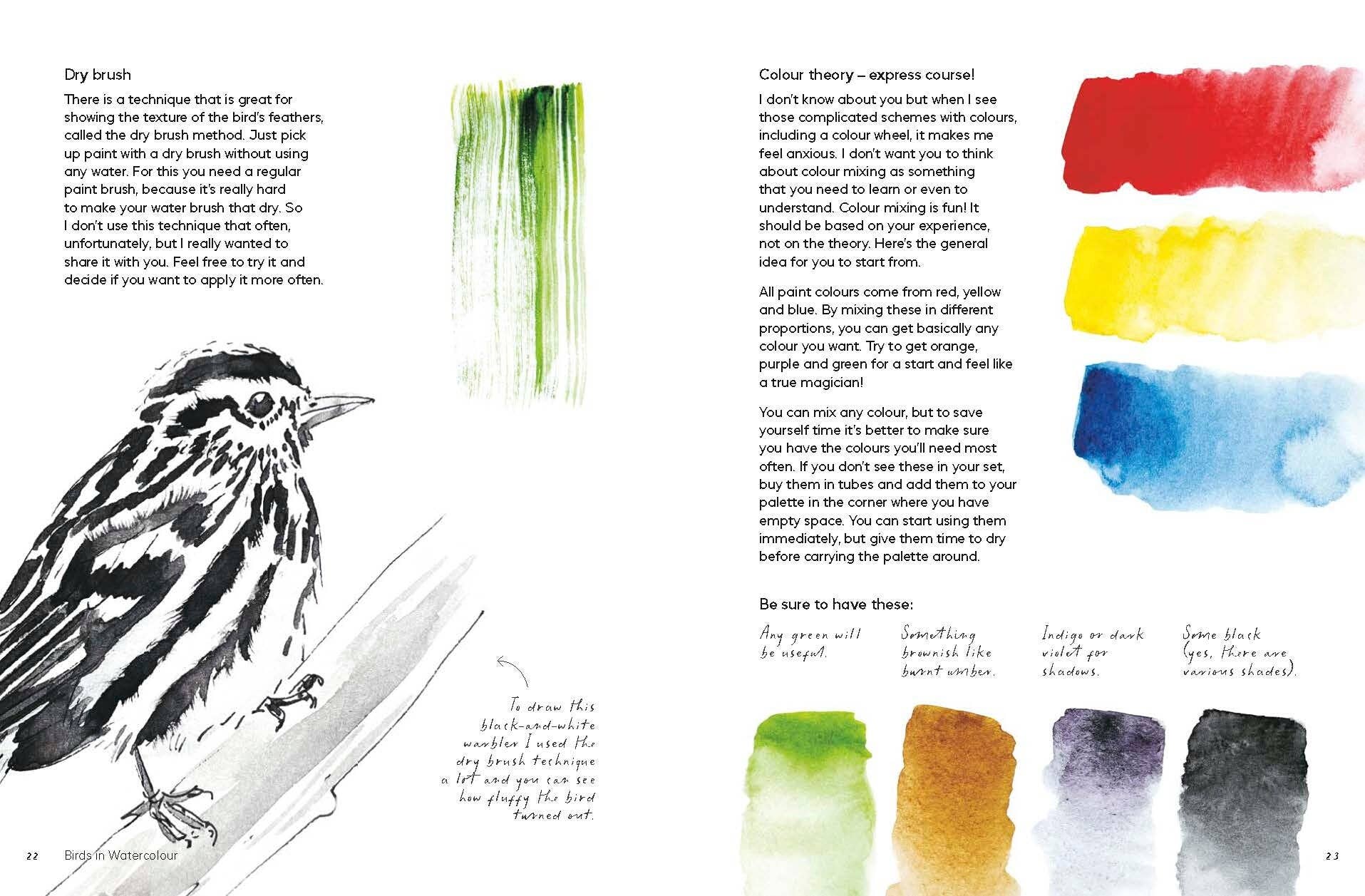 Birds in Watercolour - A Beginner's Guide