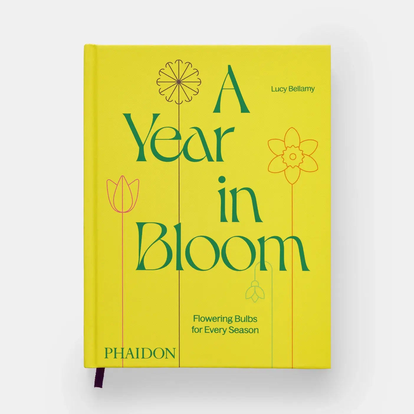 A Year In Bloom: Flowering Bulbs For Every Season