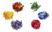 Set of six colorful flower bouquets on a white background