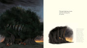 The Witness Trees (Children's Book)