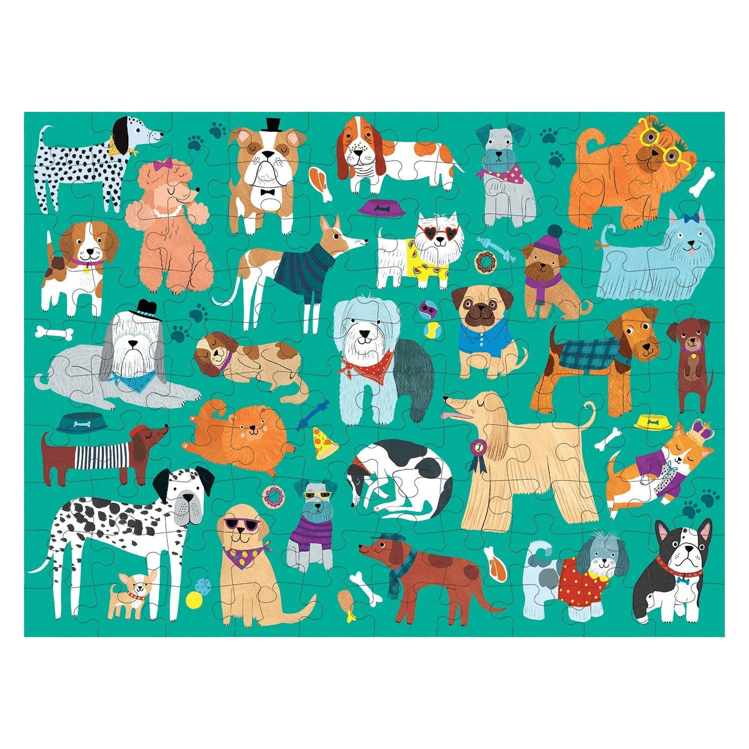 Illustrations of various dogs in different poses and outfits on a teal background