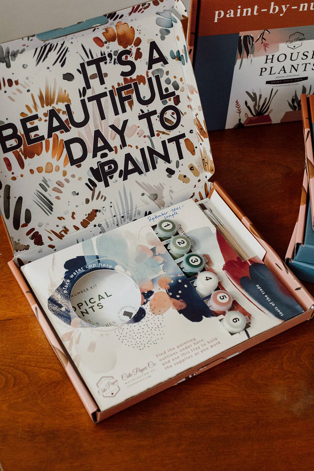 Orange Blossoms Paint-By-Numbers Kit