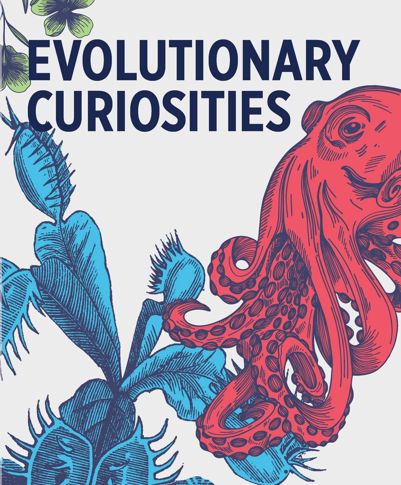 Evolutionary Curiosities Knowledge Cards