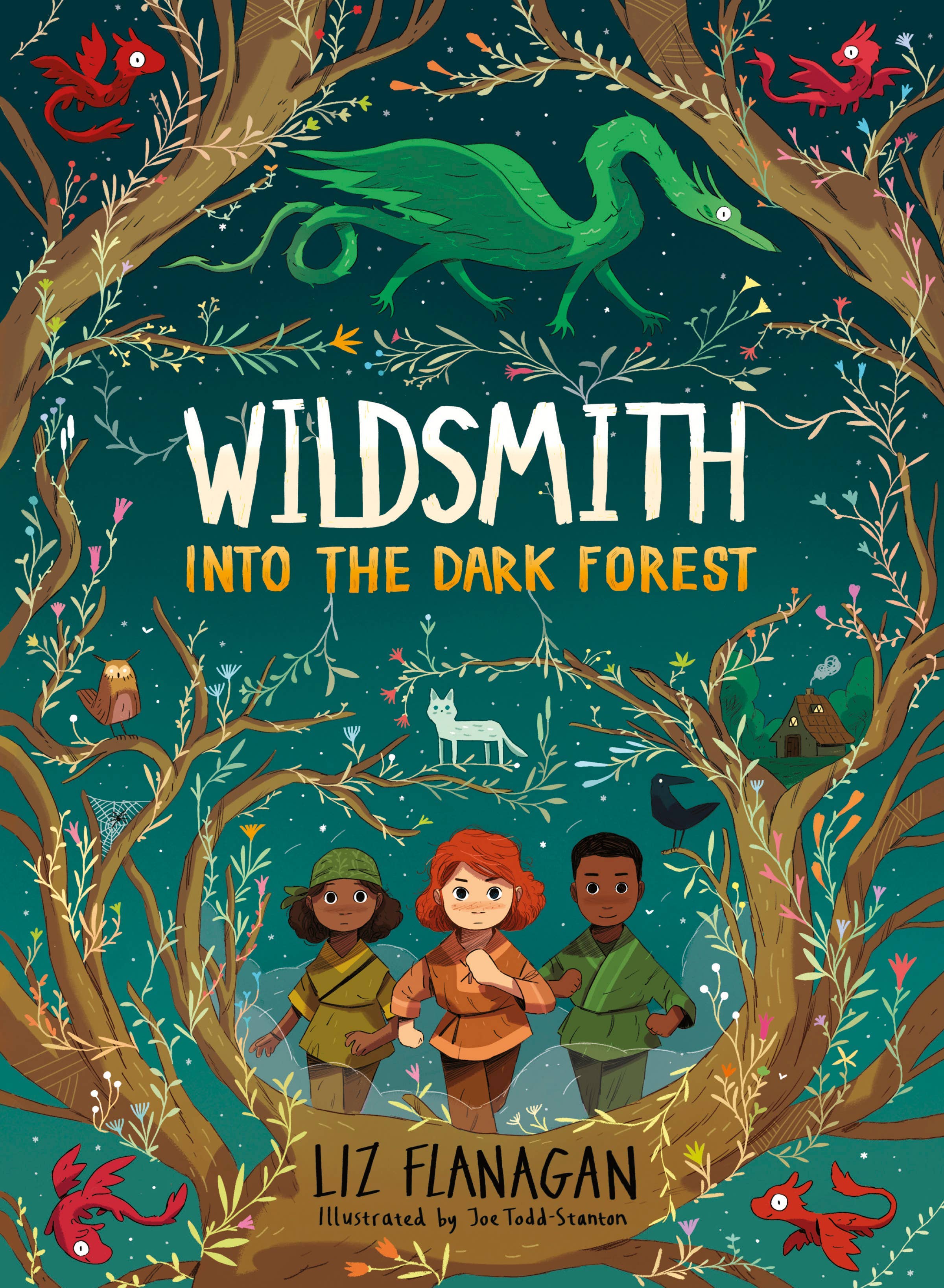 Wildsmith: Into the Dark Forest by Liz Flanagan